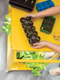 Sili-Seedlings® Seedling Tray, 10-Cell 9 Sili-Seedlings® Seedling Tray, 10-Cell -Green Haven Shop 8611886 374 tif