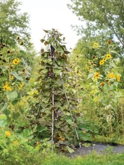 DIY Connector For Teepee Trellis -Green Haven Shop 8611896 062 tif