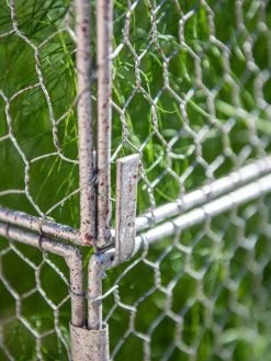 Chicken Wire Crop Coop Extension -Green Haven Shop 8611940 232 tif