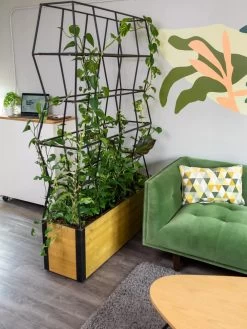 Self-Watering Partition Planter -Green Haven Shop 8611952 001 tif