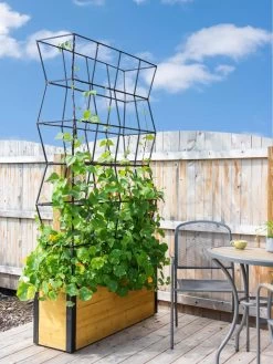 Self-Watering Partition Planter -Green Haven Shop 8611952 4825 tif