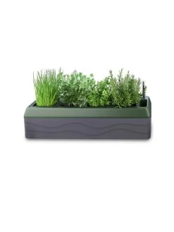 Provence Self-Watering Herb Planter -Green Haven Shop 8611965 03V tif