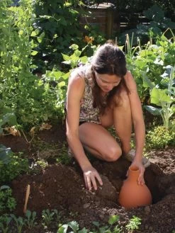 Hydro Max Watering System -Green Haven Shop 8611967 15V tif