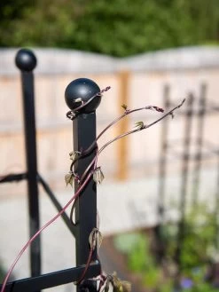 Essex Square Obelisk -Green Haven Shop 8611984 278 tif