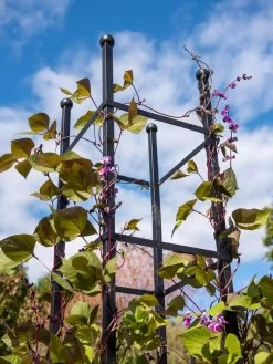 Essex Square Obelisk -Green Haven Shop 8611984 354 tif