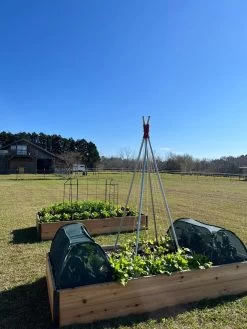 Insect And Pest Net Row Protector -Green Haven Shop 8611985 04 tif