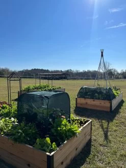 Pest Control Pop-Ups 13 Pest Control Pop-Ups -Green Haven Shop 8611989 05 tif