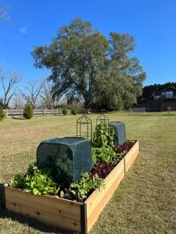 Pest Control Pop-Ups 12 Pest Control Pop-Ups -Green Haven Shop 8611989 08 tif