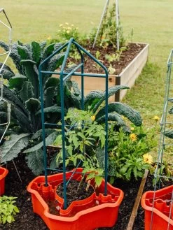 Deluxe Tomato Halos, Set Of 2 -Green Haven Shop 8612045 221 tif