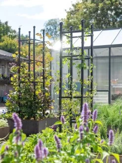 New Release -Green Haven Shop 8612046 346 tif