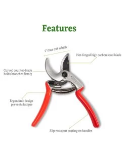 Castellari Mini Anvil Pruner 10 Castellari Mini Anvil Pruner -Green Haven Shop 8612199 5