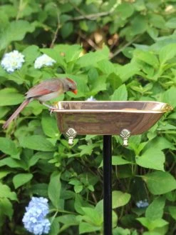 Copper Bathtub Birdbath 10 Copper Bathtub Birdbath -Green Haven Shop 8612202 03v