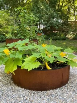 Birdies™ Corten Steel Round Raised Beds 9 Birdies™ Corten Steel Round Raised Beds -Green Haven Shop 8612422 0484 tif