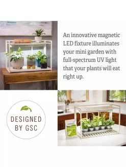 Tabletop Grow Kit 11 Tabletop Grow Kit -Green Haven Shop 8612507 4