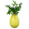 Achla Designs Teardrop Rooting Vase