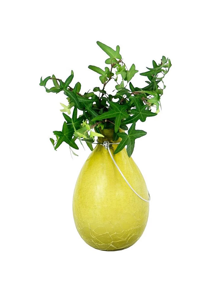 Achla Designs Teardrop Rooting Vase 1 Achla Designs Teardrop Rooting Vase