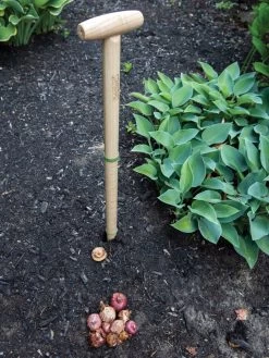 Wicked Big Dibber 8 Wicked Big Dibber -Green Haven Shop 8612667 0028