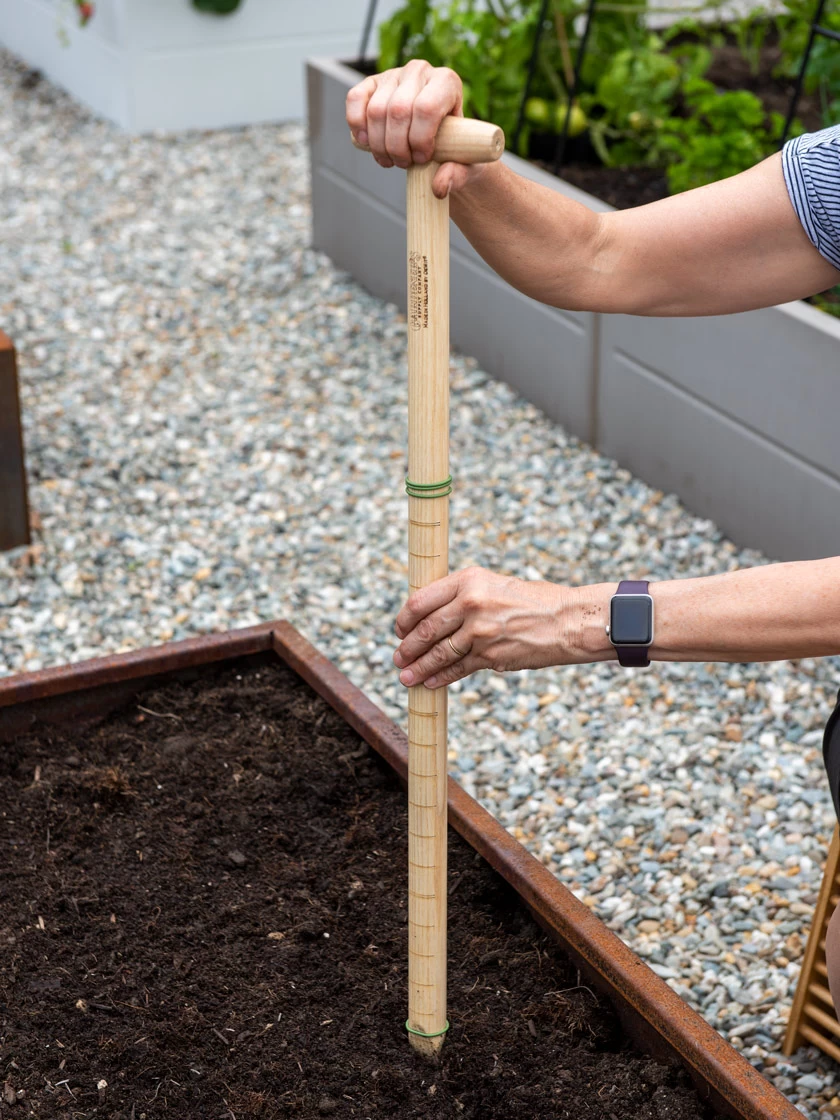 Wicked Big Dibber 1 Wicked Big Dibber