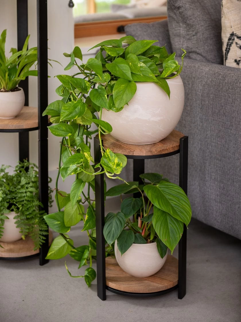 Double Tower Plant Stand 1 Double Tower Plant Stand