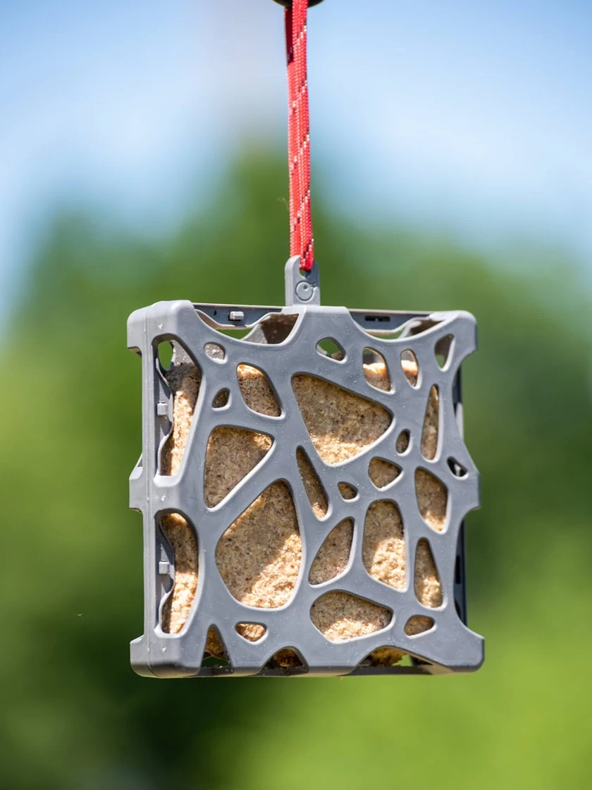 Suet Cake Feeder 1 Suet Cake Feeder