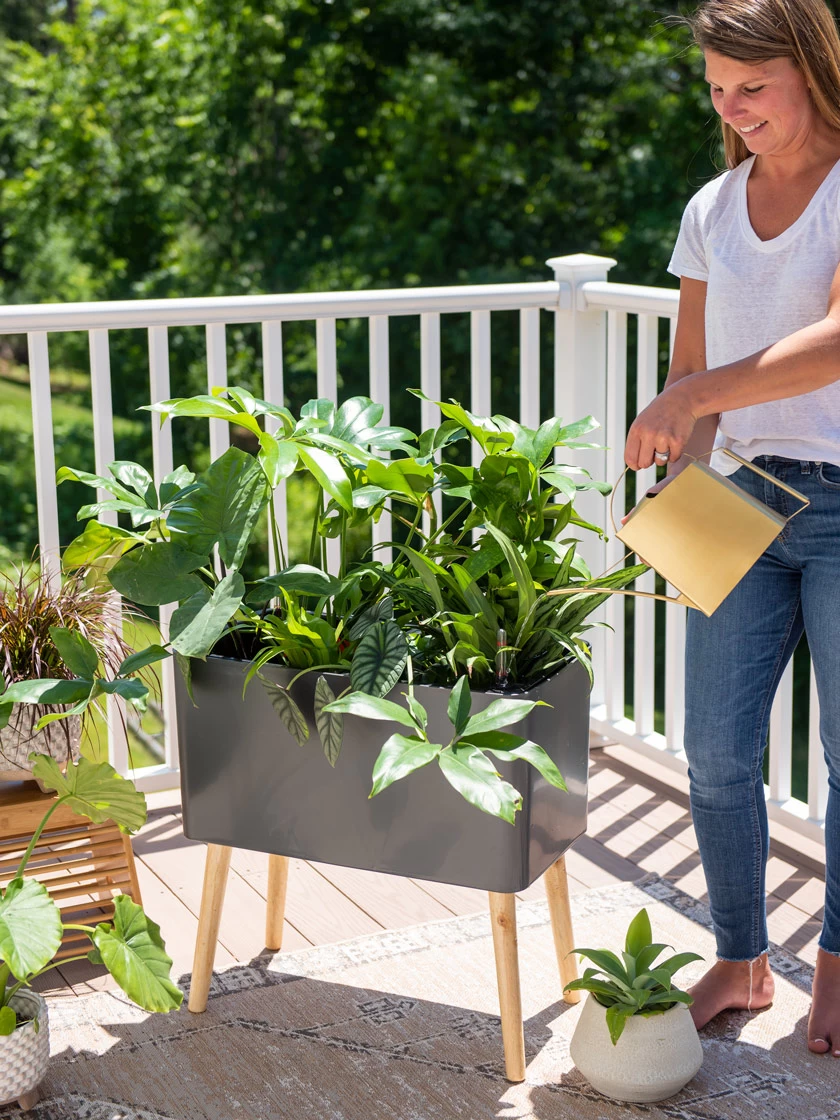 Ava Self-Watering Rectangular Planter 3 Ava Self-Watering Rectangular Planter - Image 3