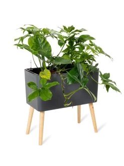 Ava Self-Watering Rectangular Planter 12 Ava Self-Watering Rectangular Planter -Green Haven Shop 8612691 0013