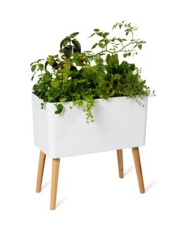 Ava Self-Watering Rectangular Planter 13 Ava Self-Watering Rectangular Planter -Green Haven Shop 8612691 0014