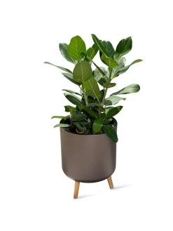 Ava Self-Watering Round Planter -Green Haven Shop 8612692 0003