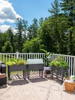 Self-Watering Standing Salad Planter With Cloche -Green Haven Shop 8612702 2002 tif