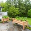 Craftsbury Elevated Raised Beds