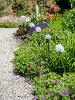 Dandelion Solar Stake -Green Haven Shop 8612713 4472