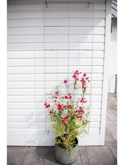 Chicken Wire Wall Trellis -Green Haven Shop 8612717 0092