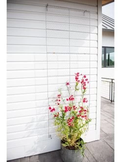 Chicken Wire Wall Trellis -Green Haven Shop 8612717 0093