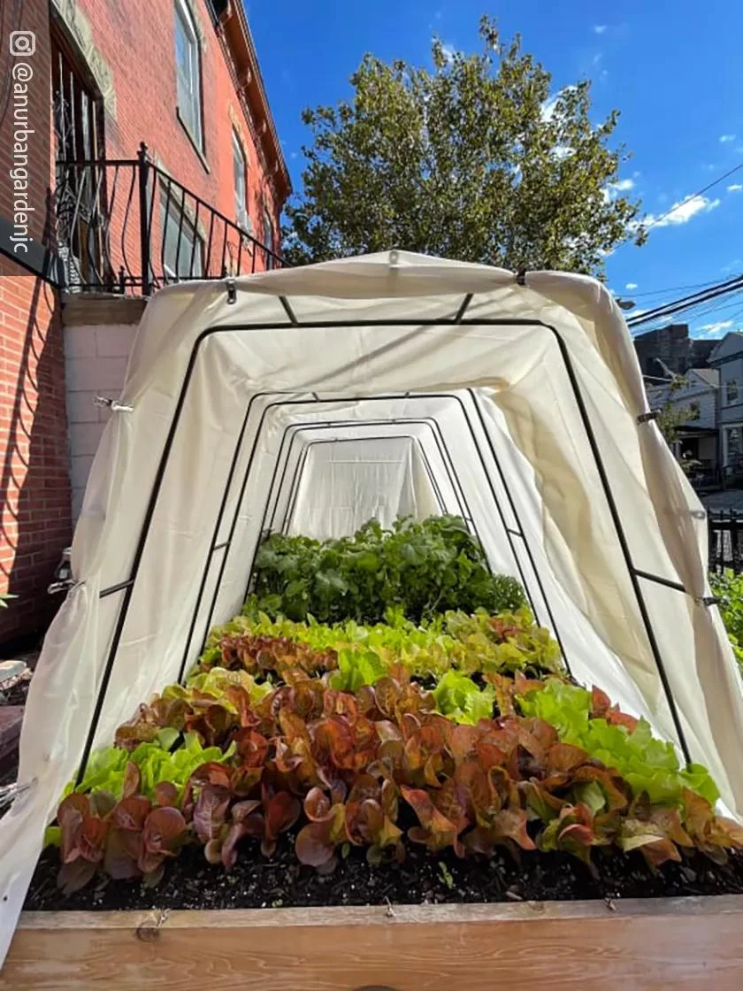 Cotton All Purpose Garden Cover 5 Cotton All Purpose Garden Cover - Image 5