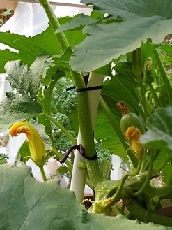 Farmyarn® Multipurpose Garden Tie, 2 Pack -Green Haven Shop 8612948 01v