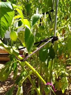 Farmyarn® Multipurpose Garden Tie, 2 Pack -Green Haven Shop 8612948 02v