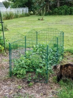 6 Panel Critter Fence With Gate -Green Haven Shop 8612967 2570 tif