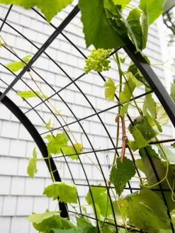 2’ X 4’ Arch Trellis For Planter Boxes -Green Haven Shop 8612976 0436