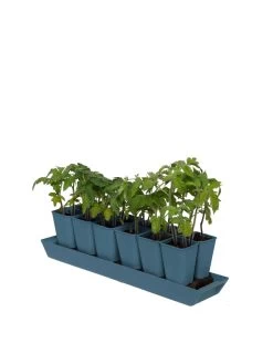 Gardener's Best® XL Seed Starting Kit -Green Haven Shop 8613066 0029