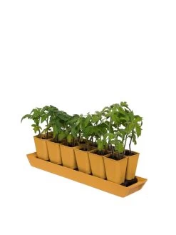 Gardener's Best® XL Seed Starting Kit -Green Haven Shop 8613066 1029