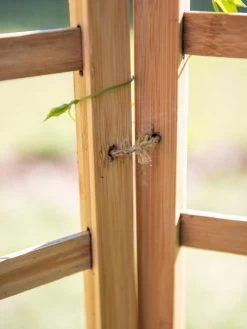 Bamboo Zig-Zag Trellis 24" X 36" -Green Haven Shop 8613151 6483