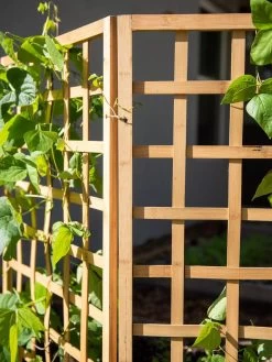 Bamboo Zig-Zag Trellis 24" X 36" -Green Haven Shop 8613151 6491