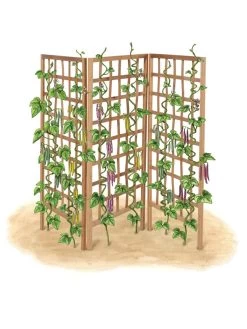 Bamboo Zig-Zag Trellis 24" X 36" -Green Haven Shop 8613151 art flat
