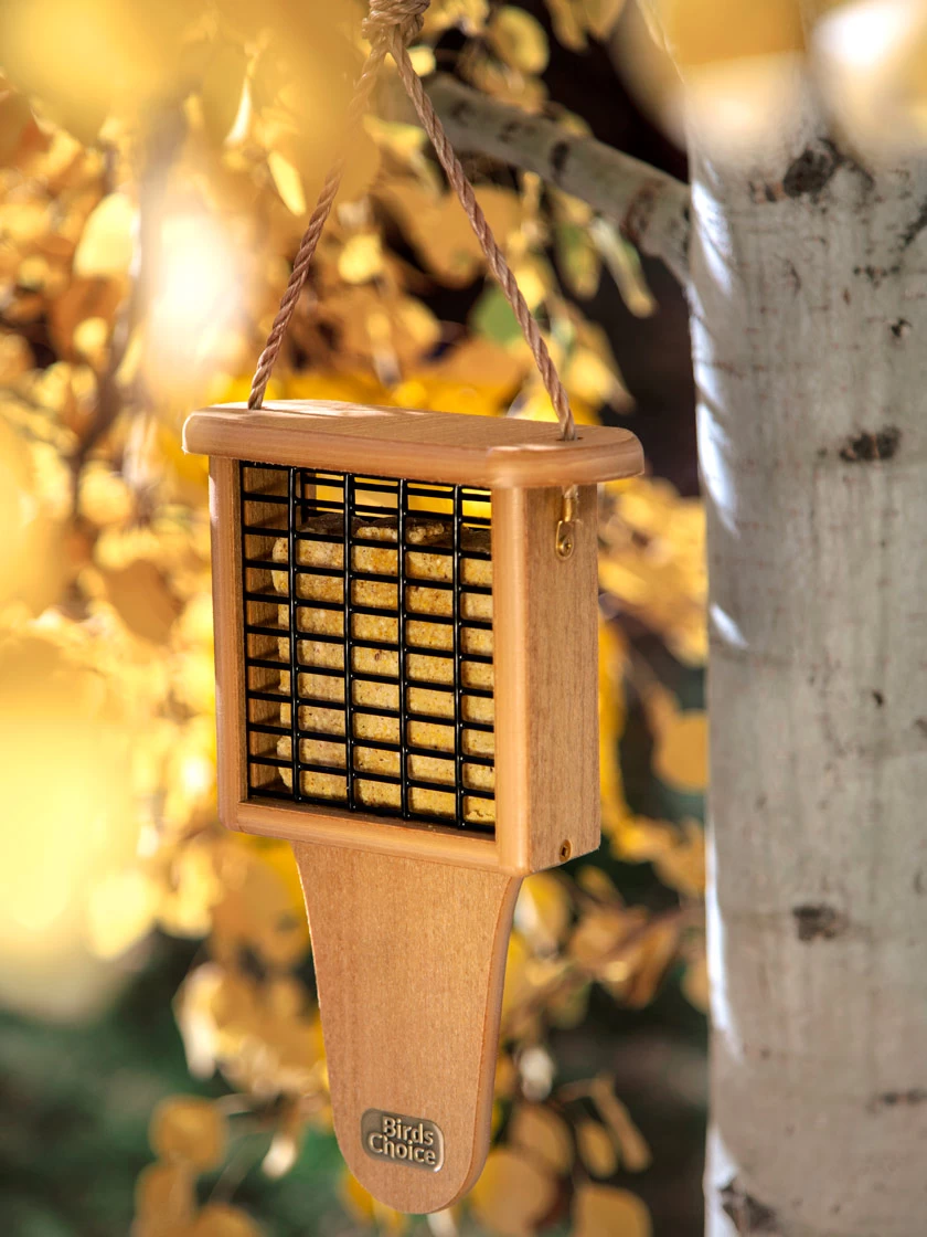 Spruce Creek Tail Prop Suet Feeder 1 Spruce Creek Tail Prop Suet Feeder