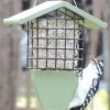 Birds Choice™ Tail Prop Feeder