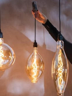 Retro Essence™ Vintage LED Light Bulbs -Green Haven Shop 8613229 7066