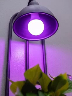 Kira Grow Light Hanging Planter -Green Haven Shop 8613232 5663