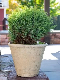 Self-Watering LavaStone® Anson Pot 10 Self-Watering LavaStone® Anson Pot -Green Haven Shop 8613255 0144