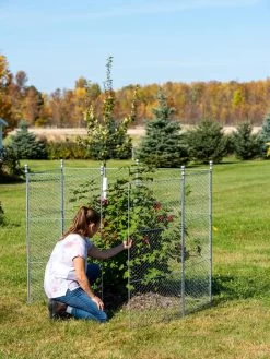 Tall Chicken Wire Critter Fence Extension Panel, Set Of 2 19 Tall Chicken Wire Critter Fence Extension Panel, Set Of 2 -Green Haven Shop 8613260 0044 1
