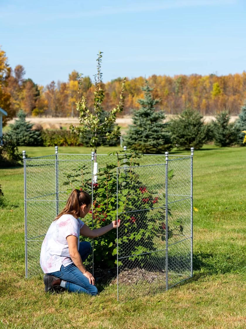 Tall Chicken Wire Critter Fence Extension Panel, Set Of 2 6 Tall Chicken Wire Critter Fence Extension Panel, Set Of 2 - Image 6